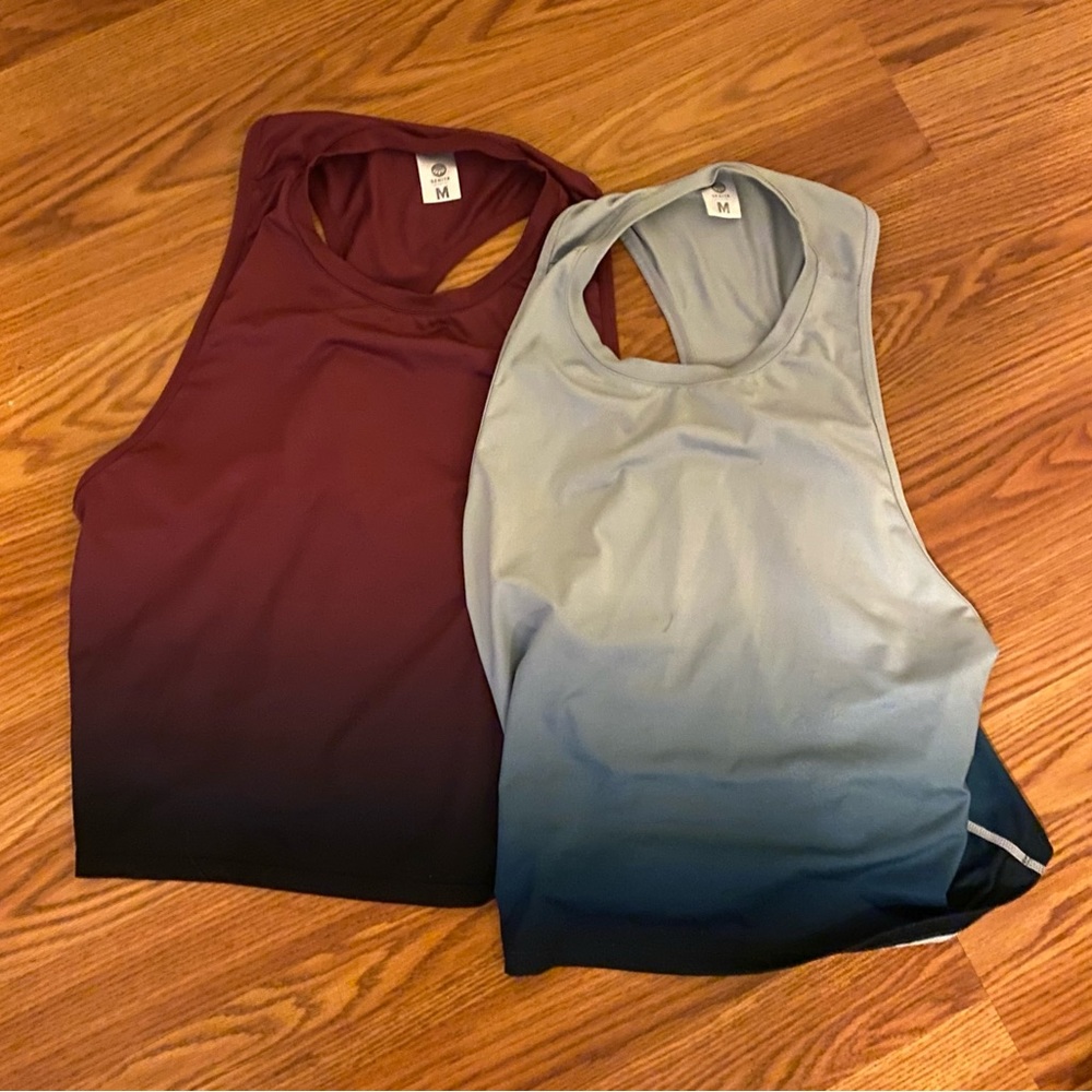 Senita Athletics Ombre Cropped Tanks